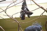 DSC_9124.JPG